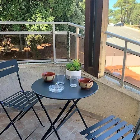 Apartment La Palmyre - Au Coeur Du Centre - Agathea - Balcon *